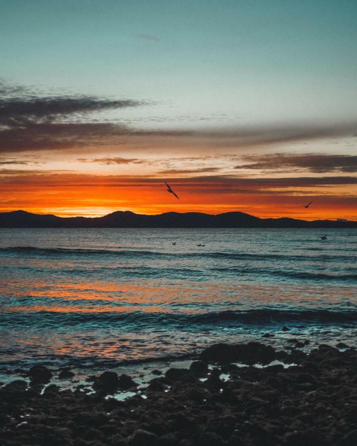 Manda * Zadar
