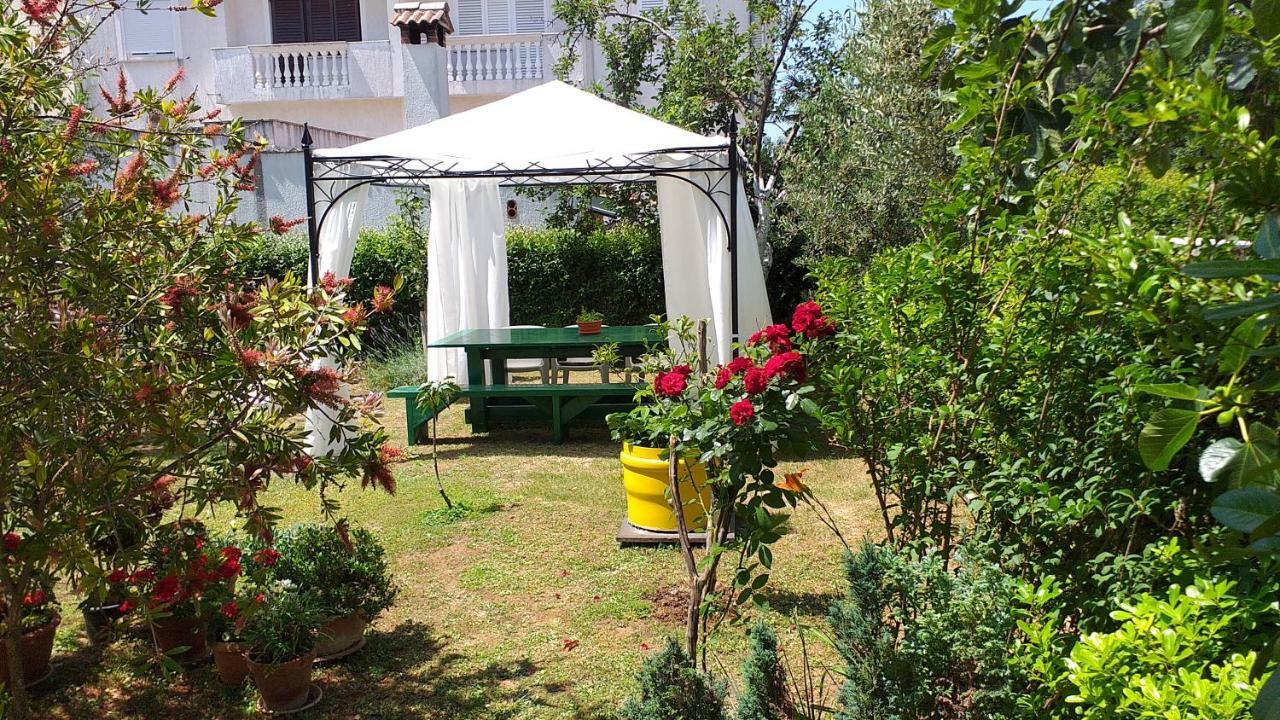 Manda Apartament *