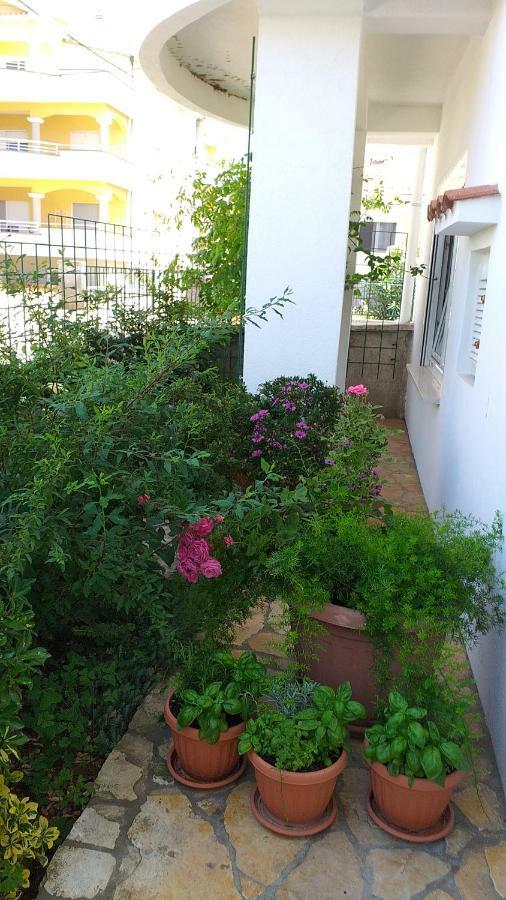 Manda Apartament
